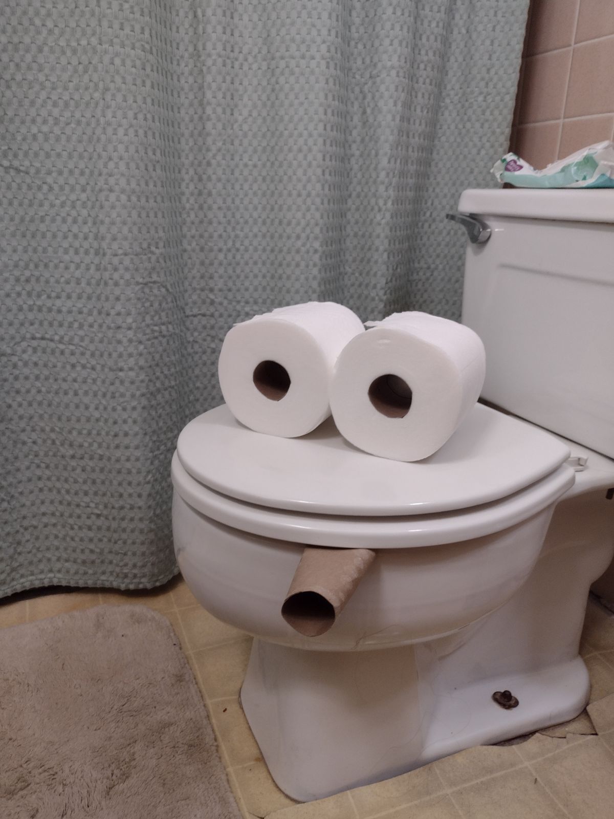 A toilet with two rolls of toilet paper on the lid and an empty toilet paper roll sticking out between the seat and the bowl. It looks like the toilet is smoking a cigar.